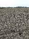 Zauwa�y�em go z drogi, kt�ra by�a jakie� 40 metr�w dalej.