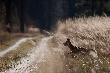Nie musia�a si� tak spieszy�, nie polujemy na p�ow� na zbiorowych...