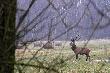 Na stanowisku.Niestrza�owy...