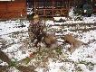 25.11.2010r. �ania, kt�ra da�a mi kr�lestwo na dzisiejszym polowaniu zbiorowym u s�siad�w.