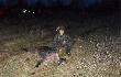  Pierwszy samodzielny podch�d w K� Diana T-ca! :)