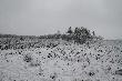 Widok z ambony, II p�dzenie 