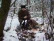 M�j Kr�lewski dzik.