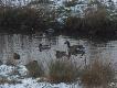 Koniec wrze�nia niedaleko Kr�gu Polarnego.