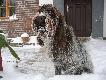Yeti w Mi�owie