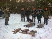 Pokot dzisiejszego polowania zbiorowego. 