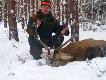 M�j dwunastak jednostronnie koronny