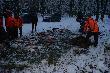 Moje nowe Lowisko od 2011-Glindow Niemcy
Polowanie zbiorowe  na 14 strzelb
pokot 12 dzikow 
16 danieli 