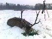 �w.Hubert obdarzy� pi�knym �smakiem