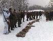 Pokot po polowaniu zbiorowym 11.12.2010; 16 my�liwych+ 12 naganiaczy, 6 p�dze� i na rozk�adzie 30 szarak�w:)