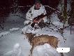 Na dzisiejsze polowanko na 2 godzinki wyci�gn��   mnie kol. Mateusz-forumowy Hunter 87,kt�re  trwa�o 10 minut...S.Koza �erowa�a z rogaczem na �rodku pola,i da�a si� podej�� na odl.strz.180m... 4-S.Koza w tym sezonie.Waga 17kg...Pozdrawiam...DARZ B�R...RAJMUND... 