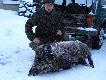 M�j 12 dzik obecnego sezonu strzelony 15.12.10. o godzinie 19-50. Strza� na komore dzik poszed� 50 krok�w.Kaliber 308w.