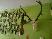 Byk obwieszony pami�tkami: Kr�l Polowania