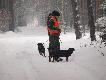 koledzy Grzegorz i Gerard (forumowy 1111)w�asciciel piesk�w Fredo , Zora i Astra