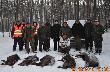 Polowanie wigilijne 18.12.2010 na pokocie ko�l� i 5 dzik�w