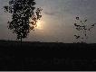 zachodz�ce s�o�ce i �owisko
troche fotek s�onca i �owiska
DB