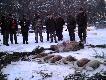 Pokot po polowaniu wigilijnym:-)