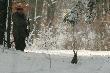 - przepraszam pana, do pasztetu to kt�r�dy? 