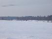 W drodze na drugie p�dzenie mieli�my taki widok :)