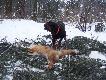 Bohun nie odpuszcza� lisowi