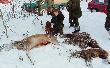 Zbior�wka 19.12.2010,syn z psem przy pokocie.