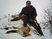 By�a parka. Na rozk�adzie tylko lis - lisica da�a drapaka.