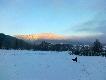 -19 :) Wieczorem widzia�em w tym miejscu 17 jeleni, dzika, jenota i 2 lisy. Niestety nic na strza�... DB!