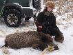 Polowanie w polu kukurydzy 30.12.2010r. - 
Odyniec strzelony w �wiece. 
�w.Hubert Darzy� w Starym Roku :):)