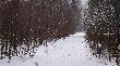 Ha! Kol. S�awek po niespe�na 20 sek. odda� do niego �miertelny strza�. To ostatnie chwile jego �ycia...