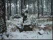 Czerwony Strumie�