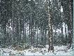 Czerwony Strumie� - niedaleko granicy z Czechami