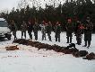 Pokot- 10 dzik�w i 2 lisy. 
