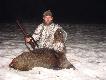 Przed�wi�teczny wycinek.