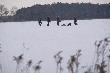 �anie wybieg�y mi na pole no i jedna zosta�a. To ju� moja trzecia w tym sezonie na zbior�wkach