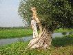 przed przylotem
Tu za miesi�c b�dzie g�ga�o