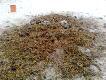 A tak wygl�da na drugi dzie�:):):)