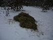 4 worki siana wy�o�one dla saren.