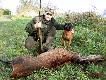 Postrza�ek z dewizowego . Postrza� na badyl.