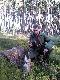 M�j pierwszy jele�, pozyskany podczas rykowiska o �wicie. 22.09.2010