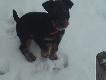 Ares 7 tygodni :)