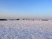 pustynia :-)). nawet �adnej przechery nie wida�.