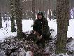 Kolejny ,,kaban" tfuuu kabanek pozyskany 06.01.2011r. w Puszczy Noteckiej.