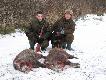 05.12.2010 Pojechali�my na sarny  a z rana spacerowa�em nad Wis�� za lisami a spotka�em dziki. Pierwszy w �yciu dublet do dzik�w.