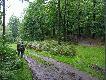 ...kt�ry najcz�ciej odlatywa�.