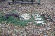Pokot po Polowaniu Hubertowskim 2009
Zosta�em wicekr�lem z 2 lisami i 2 ba�antami.