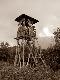 Niezapomniane polowanie z Ka�k� !!!!