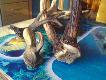zrzut dziesi�taka z deformacj� r�y spowodowan� prawdopodobnie stalow� link� . Byk musia� zapl�ta� si� we wnyk albo co� podobnego w czasie gdy poro�e by�o jeszcze w scypule , obok zrzut daniela my�kusa ,,