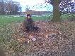 Magiczne 8 nie do pokonania stogowanie u koleg�w 23.01 a mog�o by� 11 ale c� pud�o pud�o pud�o 