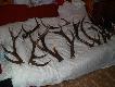Moja kolekcja.Za nie d�ugo wystawie zrzuty w takim stanie w jakim je znalaz�em