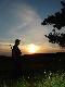 Taki �adny widok wi�c postanowi�em pstrykn�� fotk�...:)